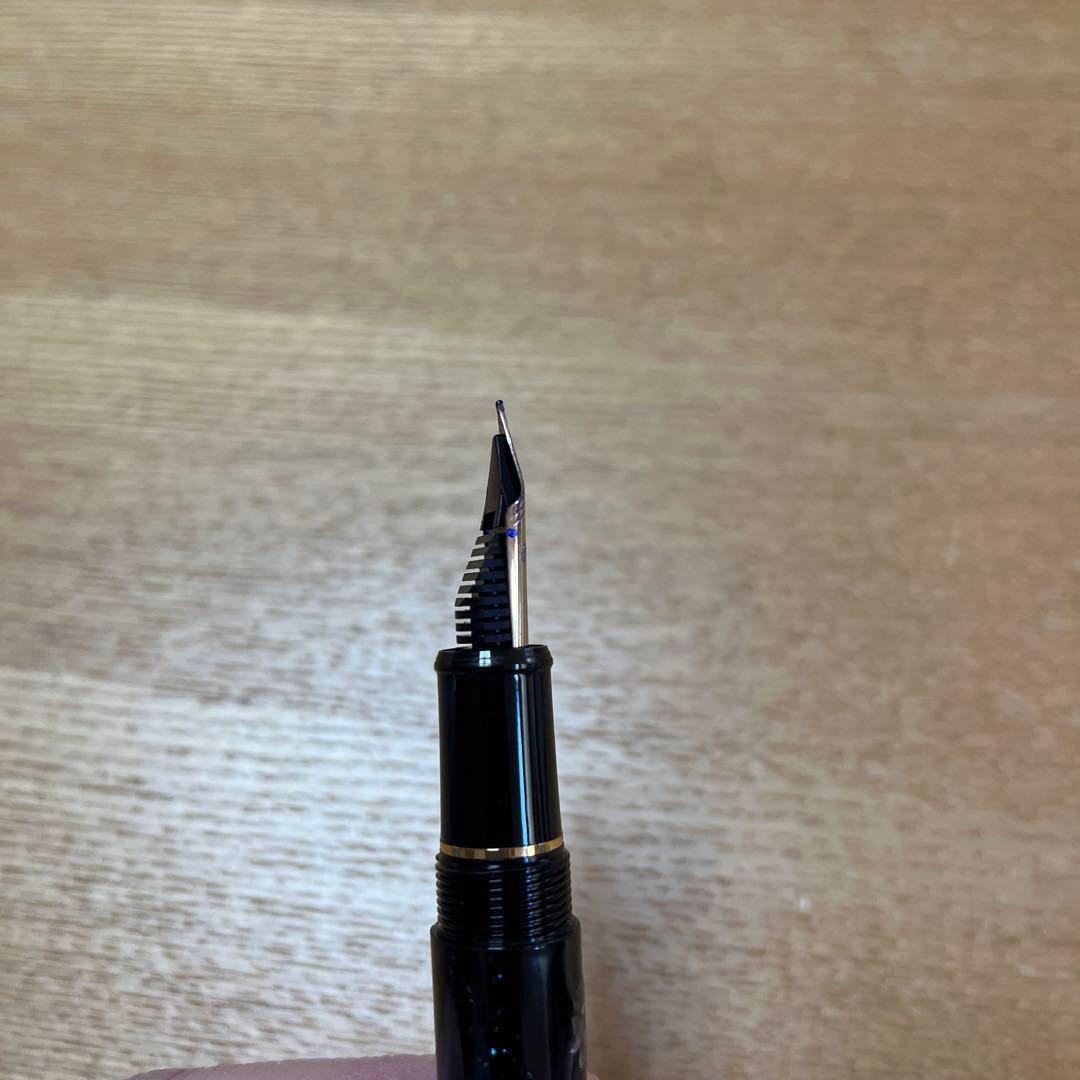 大幅お値下げ！PLATINUM #3776 万年筆 螺鈿 桜