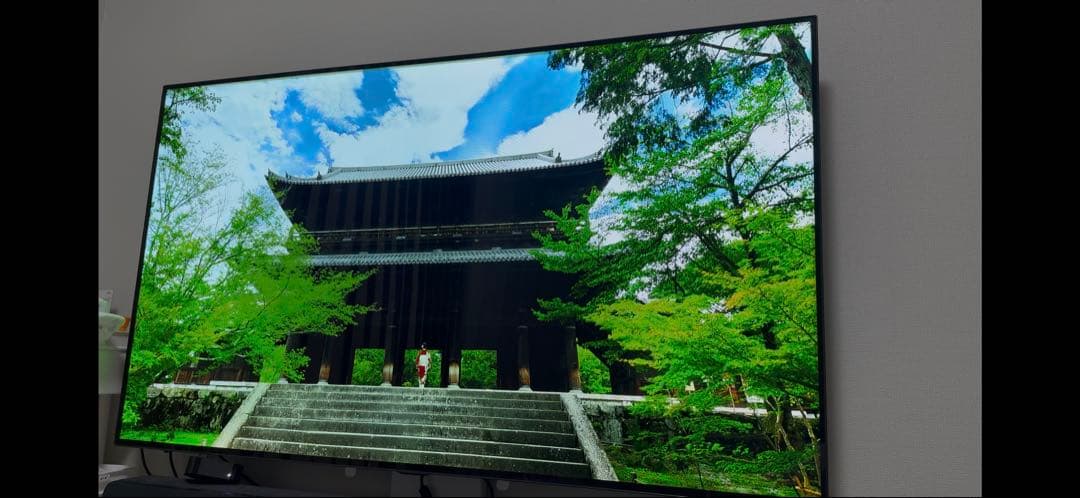 【y122o】LG有機ELテレビ 55インチ　OLED55C8PJA