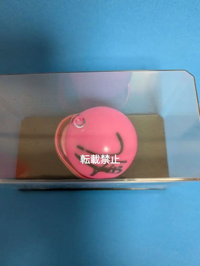 KARA ハラ　サインボール　KARASIA 2012