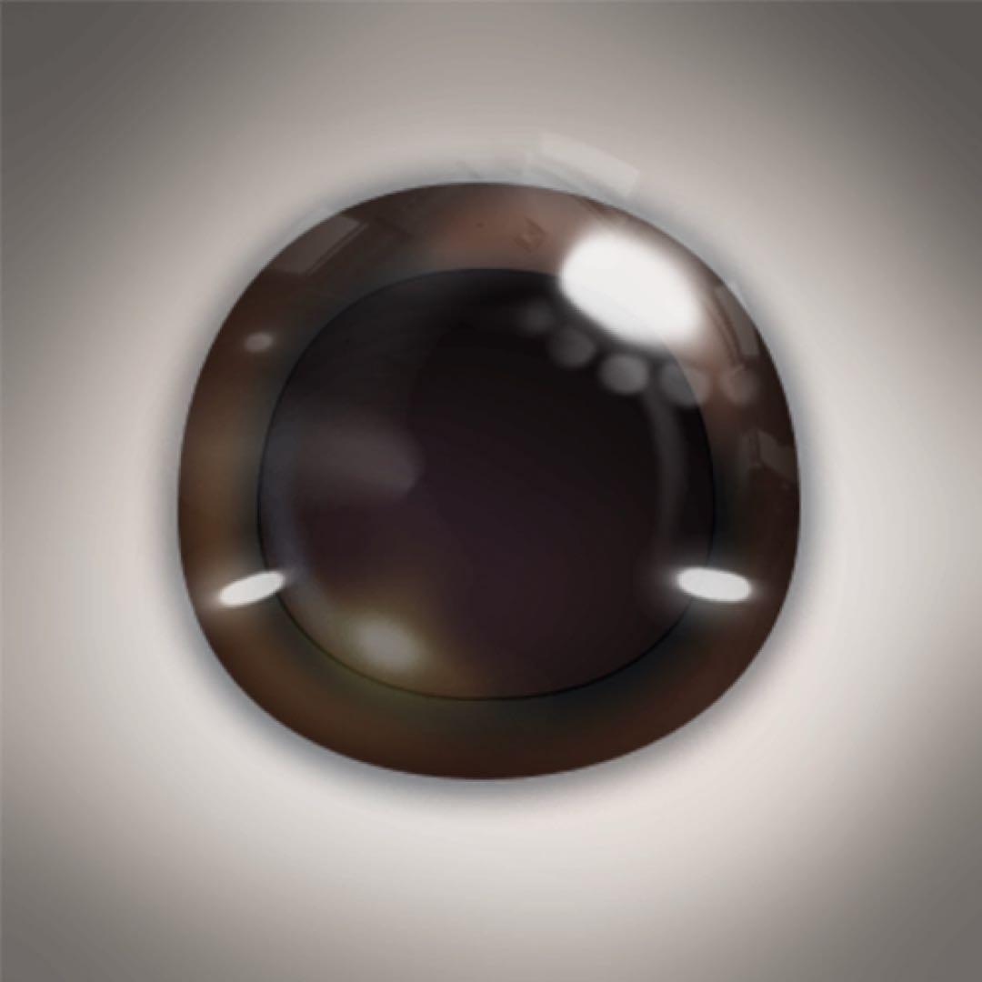 lopeto（ロペット）着せ替えパンダコート＋パンダ瞳 セット