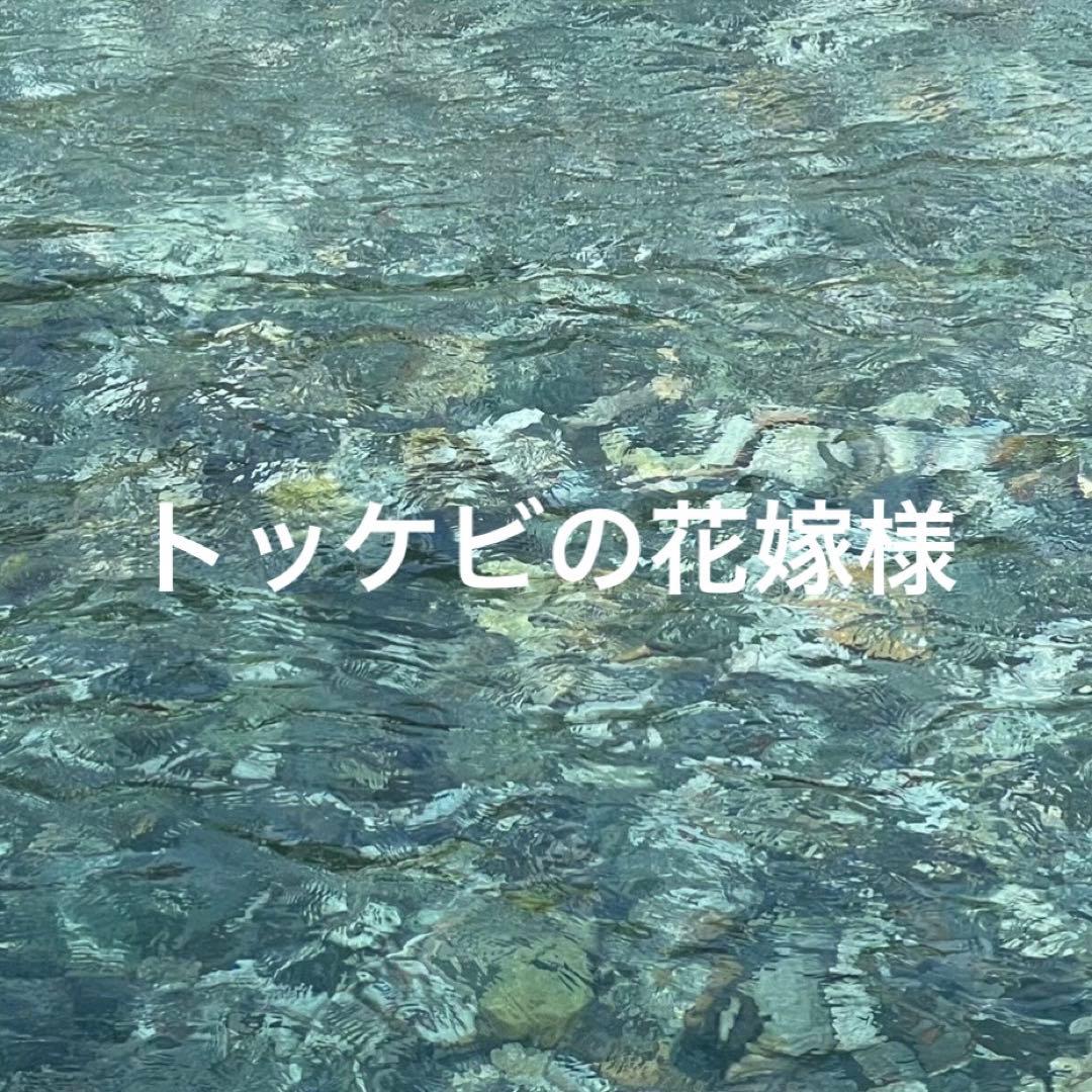 トッケビの花嫁様