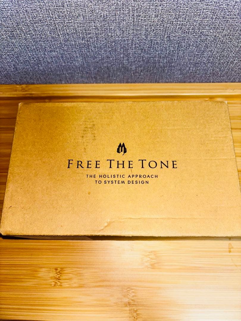 ギター Free The Tone FLIGHT TIME FT-1Y