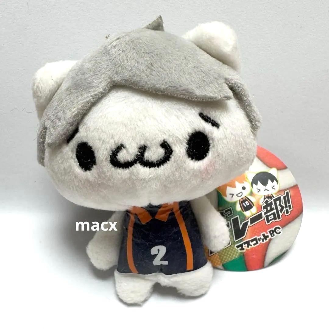 ハイキュー‼︎ かおもじネコ バレー部!!マスコットBC 菅原孝支