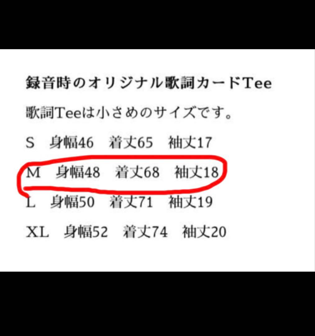 小沢健二　Tシャツ \"LOVELY\" 歌詞tee Mサイズ