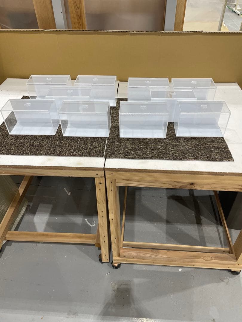 アクリル水槽、3mmベタ、メダカ専用。10台。送料込み。