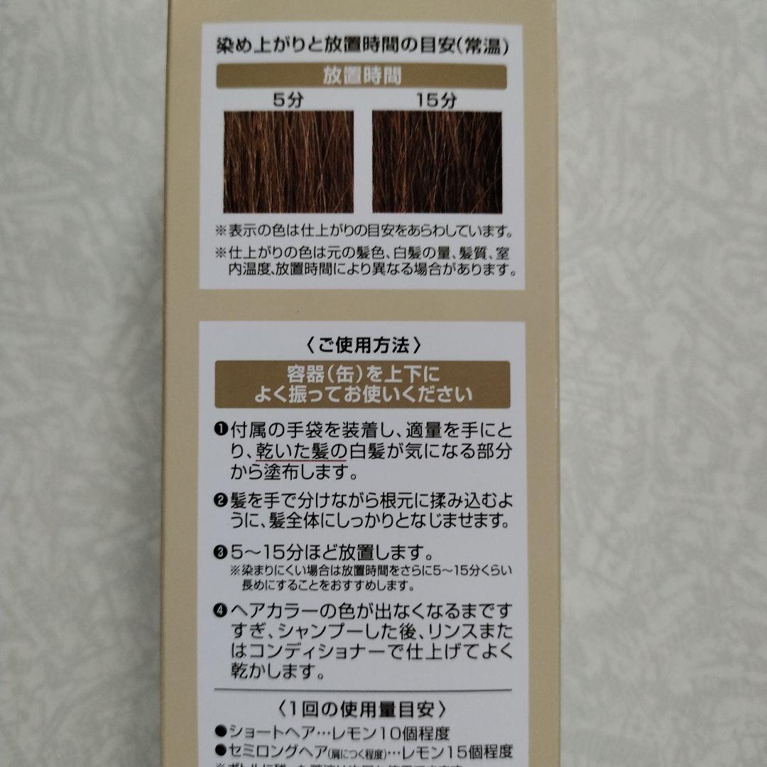 ÉCLAT ボタニカルエアカラーフォームup 150g２本セット