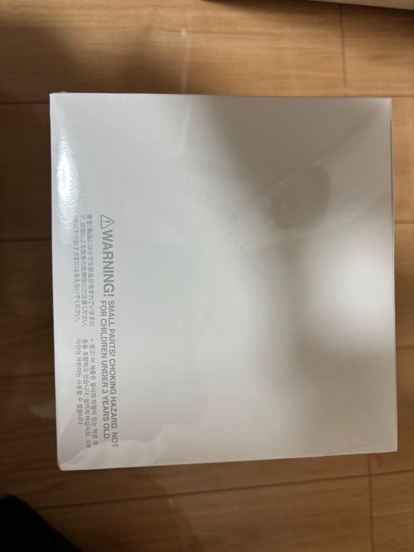 POP MART LABUBU ラブブ/らぶぶ Big into Energy