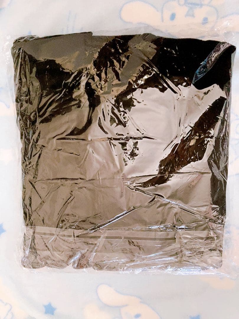 Stray Kids スキズ　dominATE 闇 ZOOフーディー