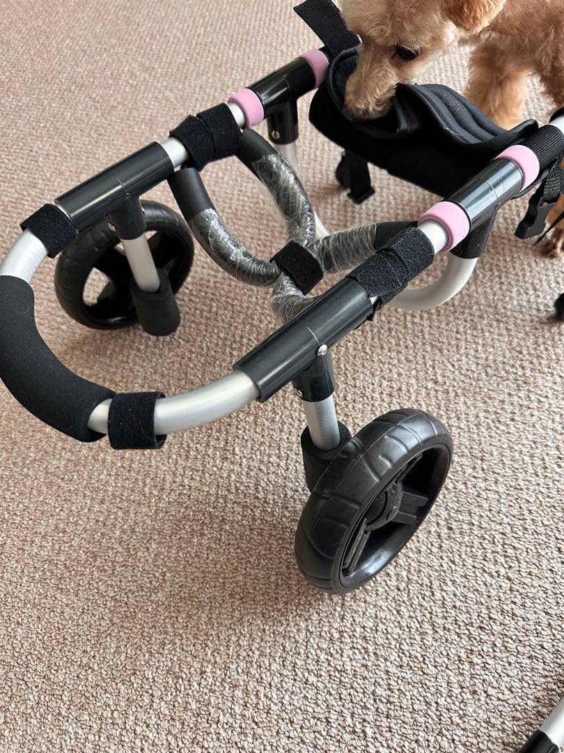 犬用車いす 小型犬用 黒とピンク