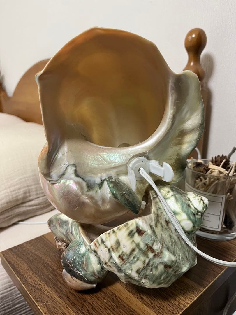 夜光貝　インテリア　ライト　小物