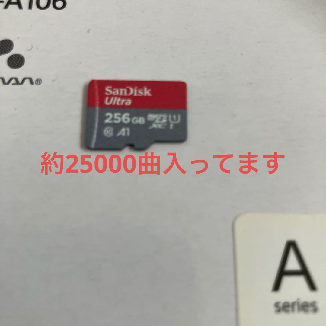 SONY NW-A106 レッド 32GB デジタルオーディオプレーヤー