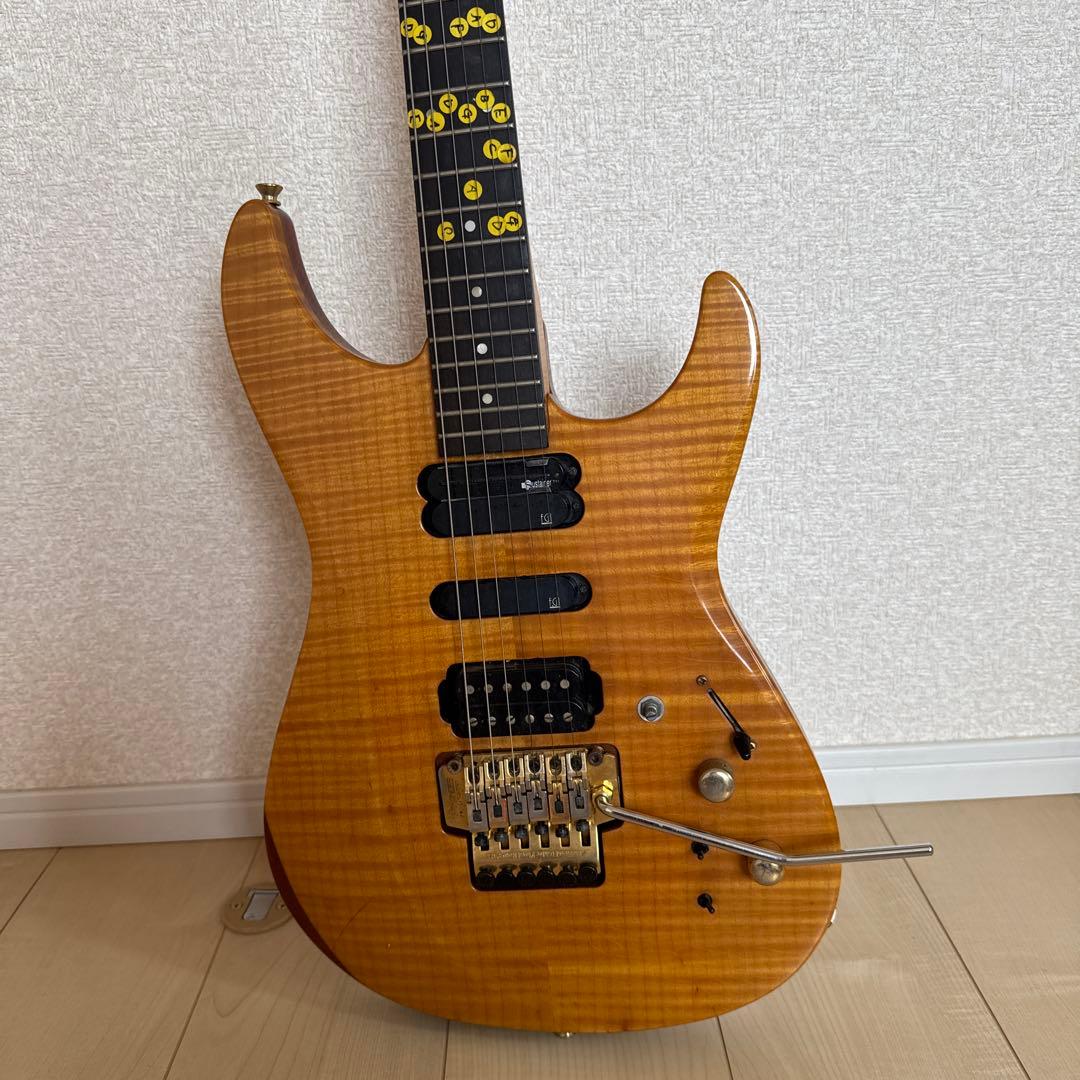 FERNANDES フェルナンデス エレキギター