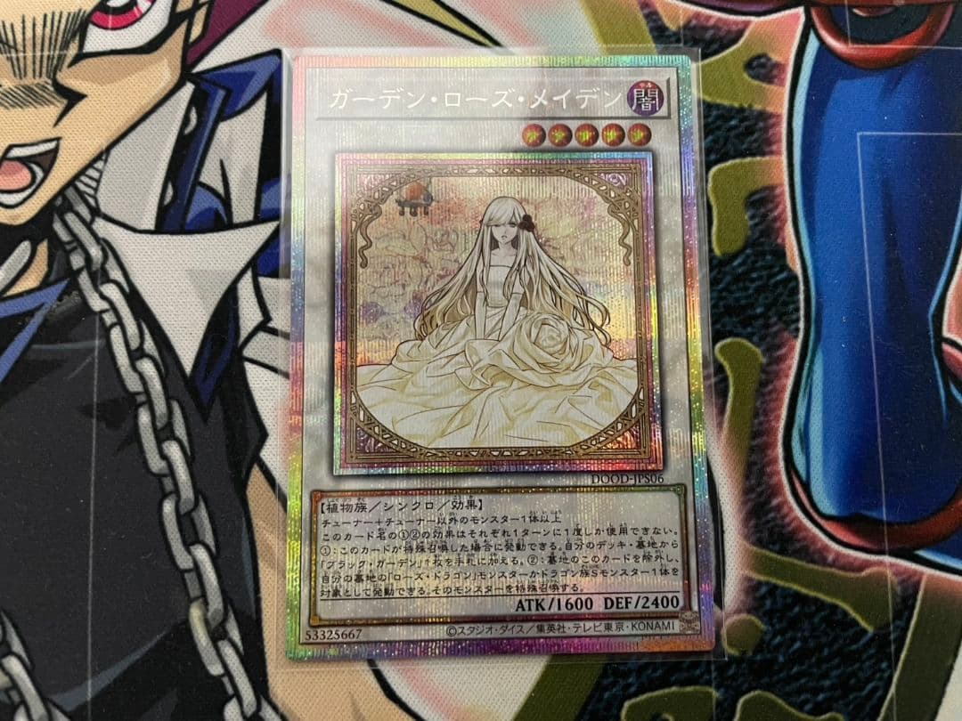 DOOD ガーデン・ローズ・メイデン プリシク