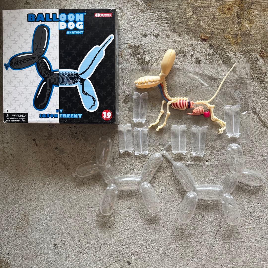 4DMASTER Balloon Dog Anatomy バルーンドッグ