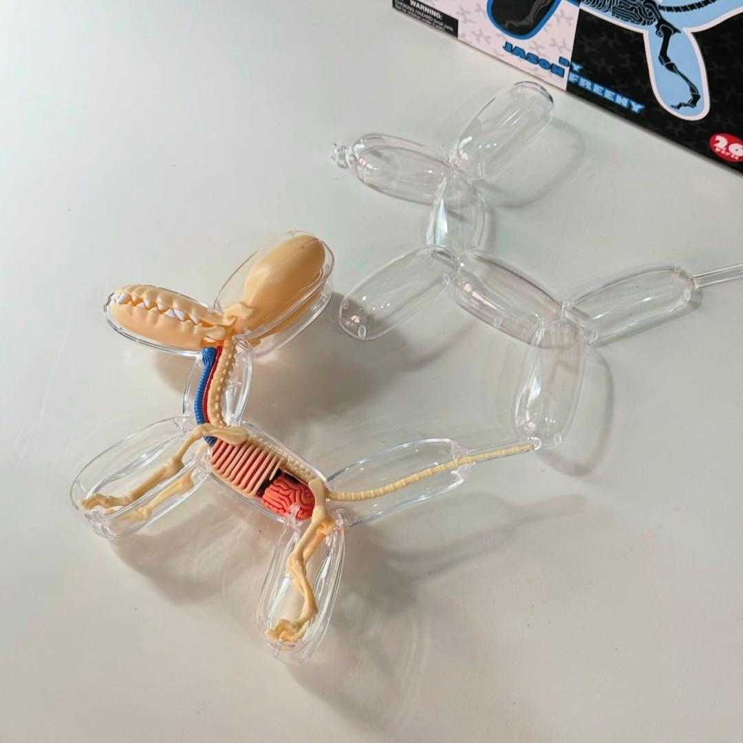 4DMASTER Balloon Dog Anatomy バルーンドッグ