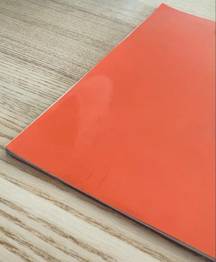 ★希少★ 舞台　夜は短し歩けよ乙女　パンフレット　森見登美彦　田中美保