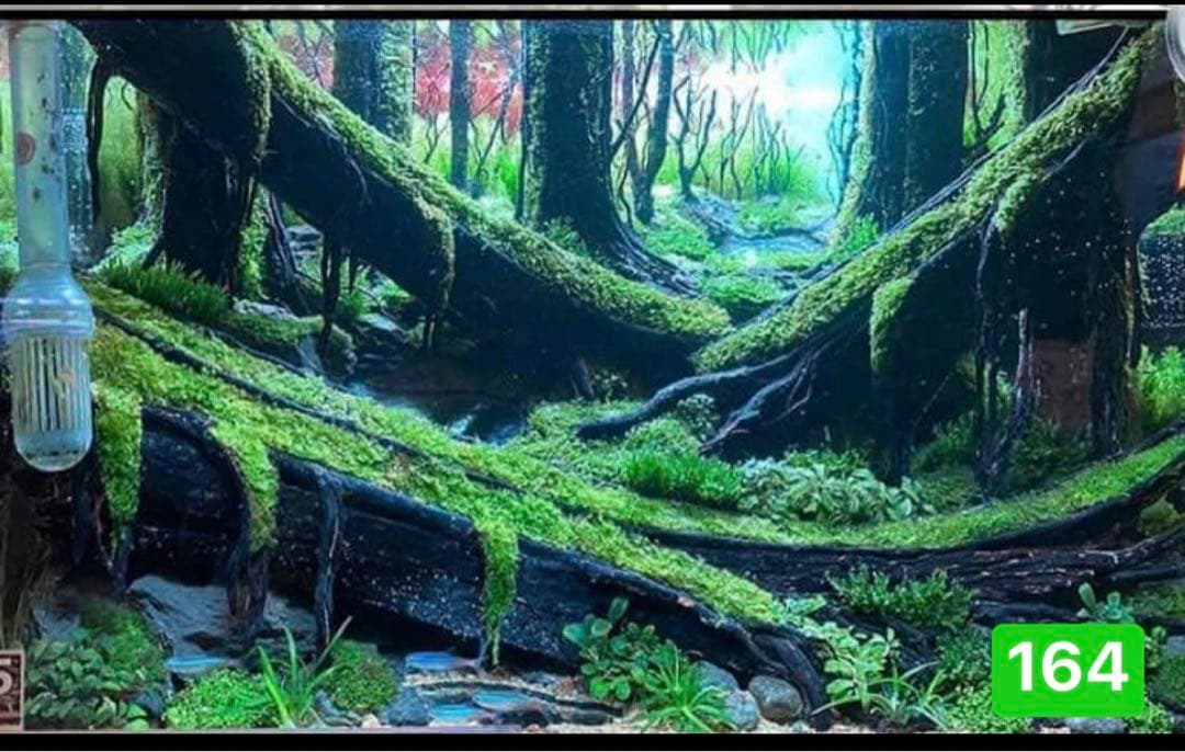 TTD 1646【⭐︎ ぽけます様⭐︎】【美品・数量限定】