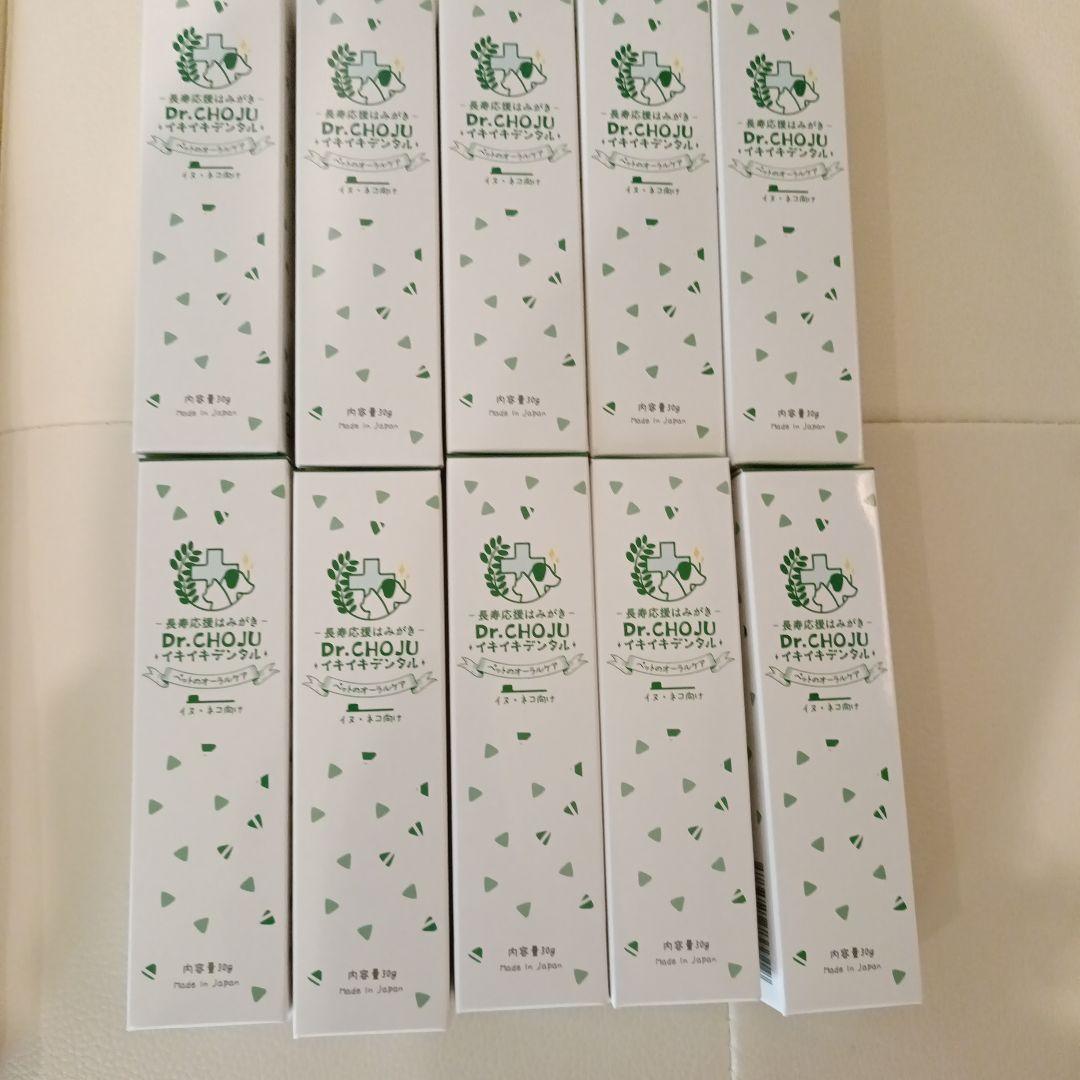 いきいきデンタル　10本セット