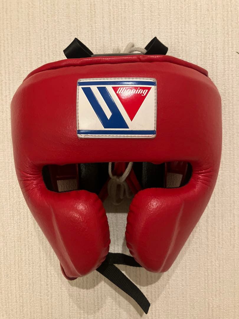 Winning ヘッドギア フルフェイスタイプ レッドL FG-2900