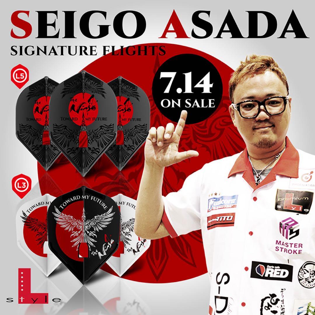 美品！COSMODARTS ROYDEN LAM 3 セッティングセット！