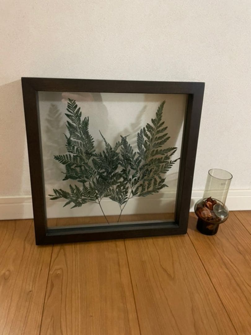 壁掛けインテリア 壁飾り シダ植物