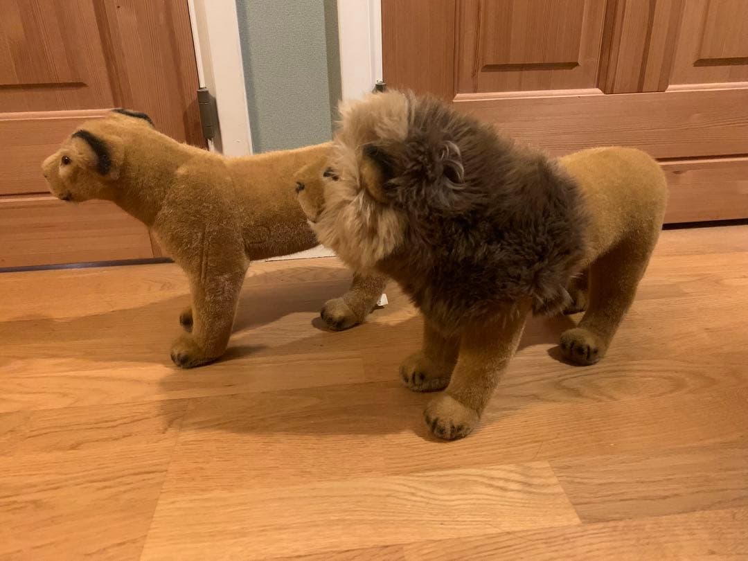 ⭐️特別価格 独製 KOSEN ケーセン ライオン オスメス セット ぬいぐるみ