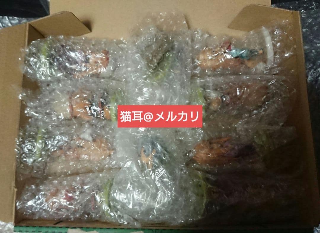 【K】【狼と香辛料Ⅱ】 にいてんご　全10種セット　コンプリート