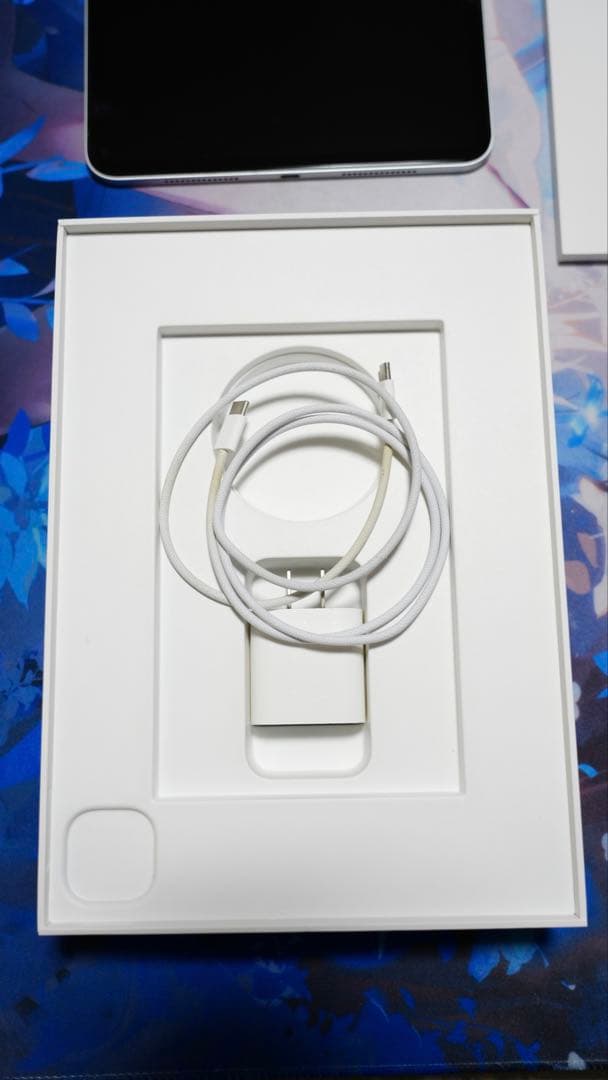 Apple iPad Pro 11インチ シルバー 本体 M4チップ 256GB