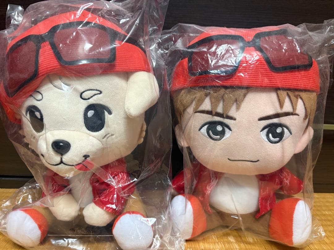 三代目JSB 岩田剛典ぬいぐるみ