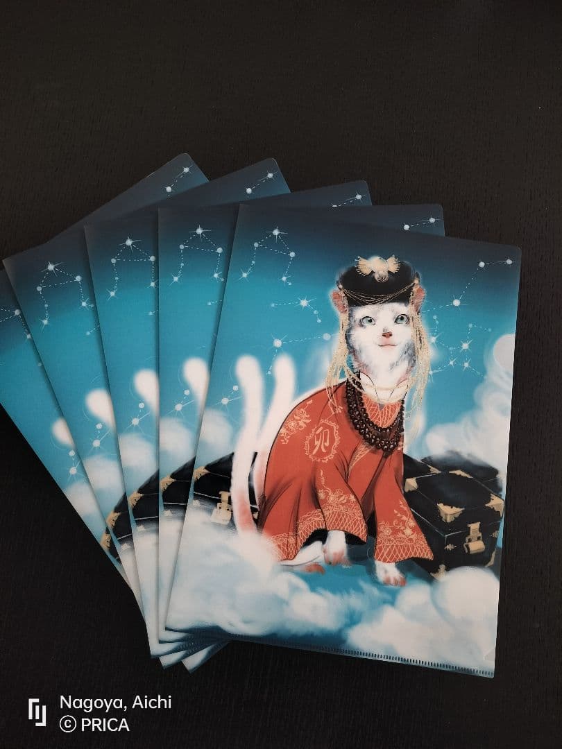 [SALE 29.999 --> 19.999]クリアファイルA4 100 枚