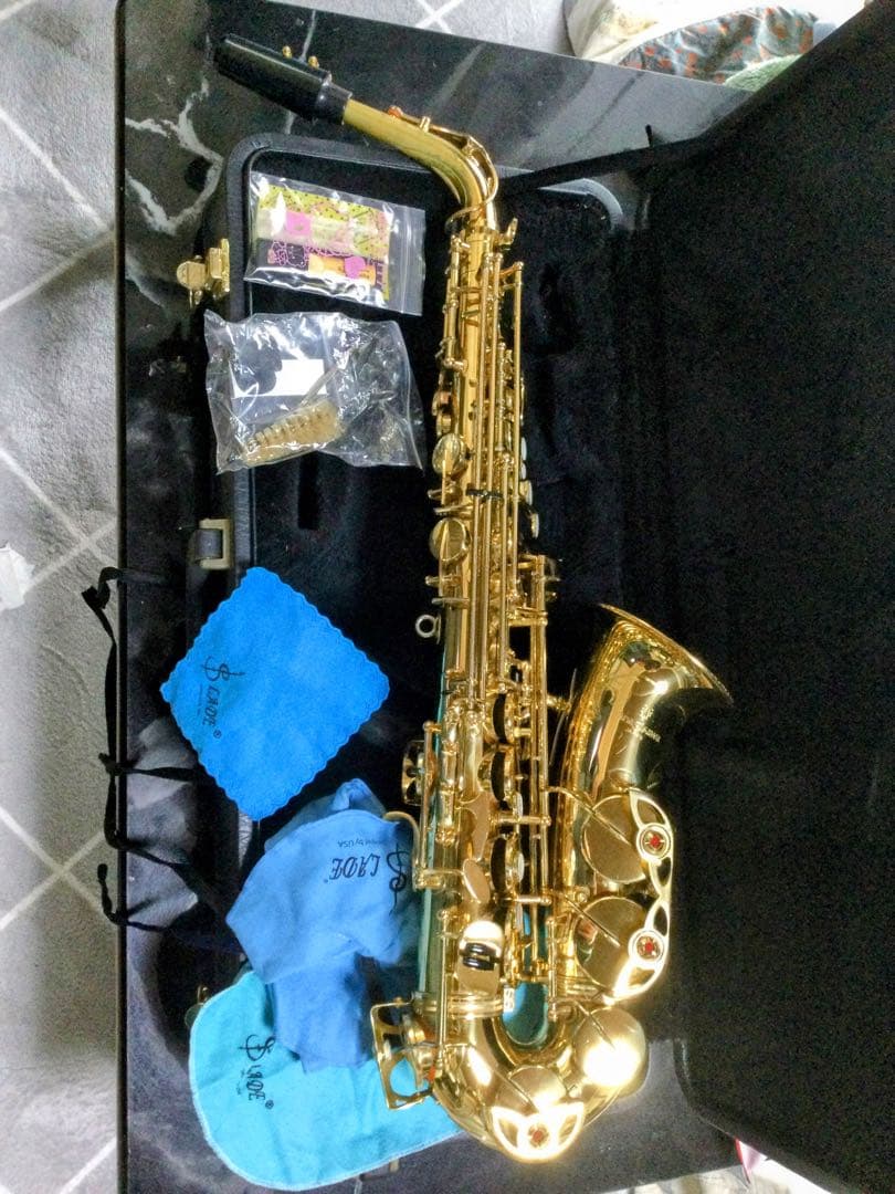 Yanagisawa901アルトサックス