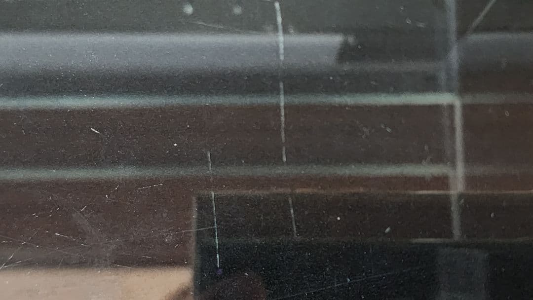 Rainforest 600×300×450