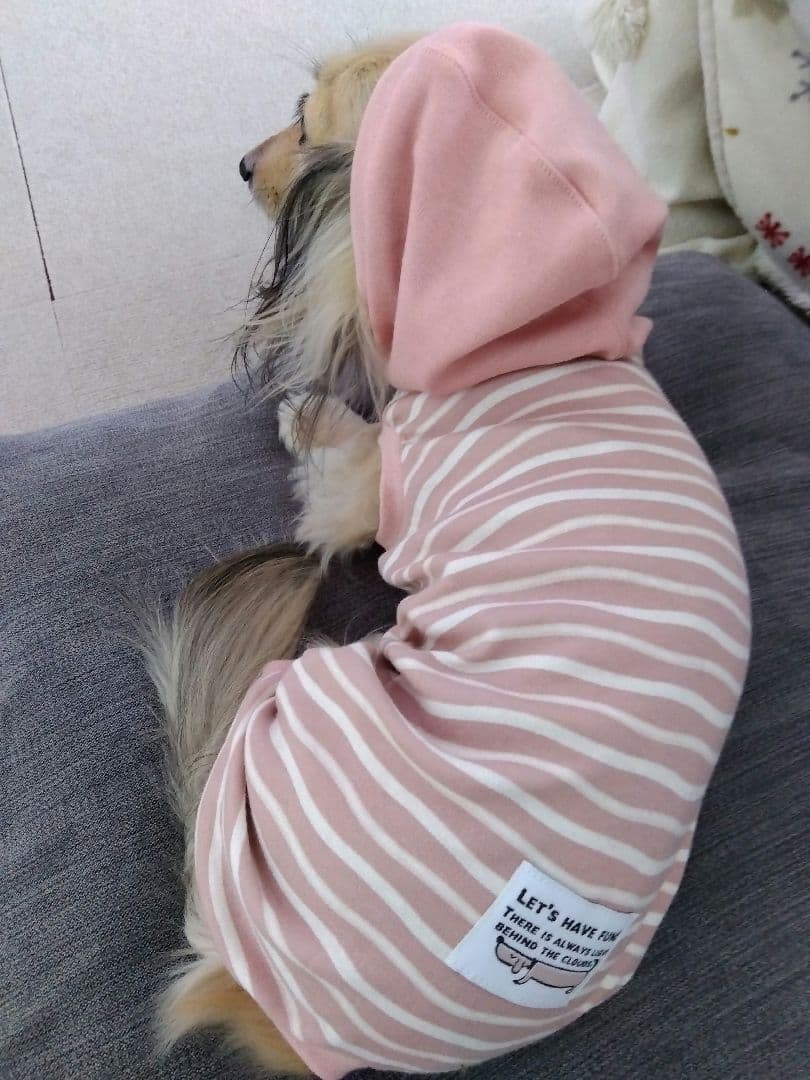 犬服　ハンドメイド　フード付ロンパース