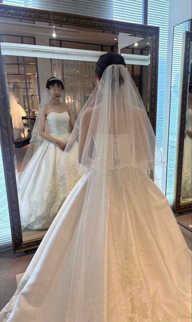 【美品】ANV-9 ALPHA BLANCA ラメベール ロング