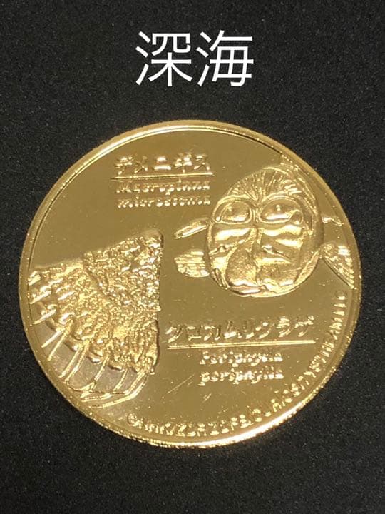 深海★クラゲ☆記念メダル★茶平