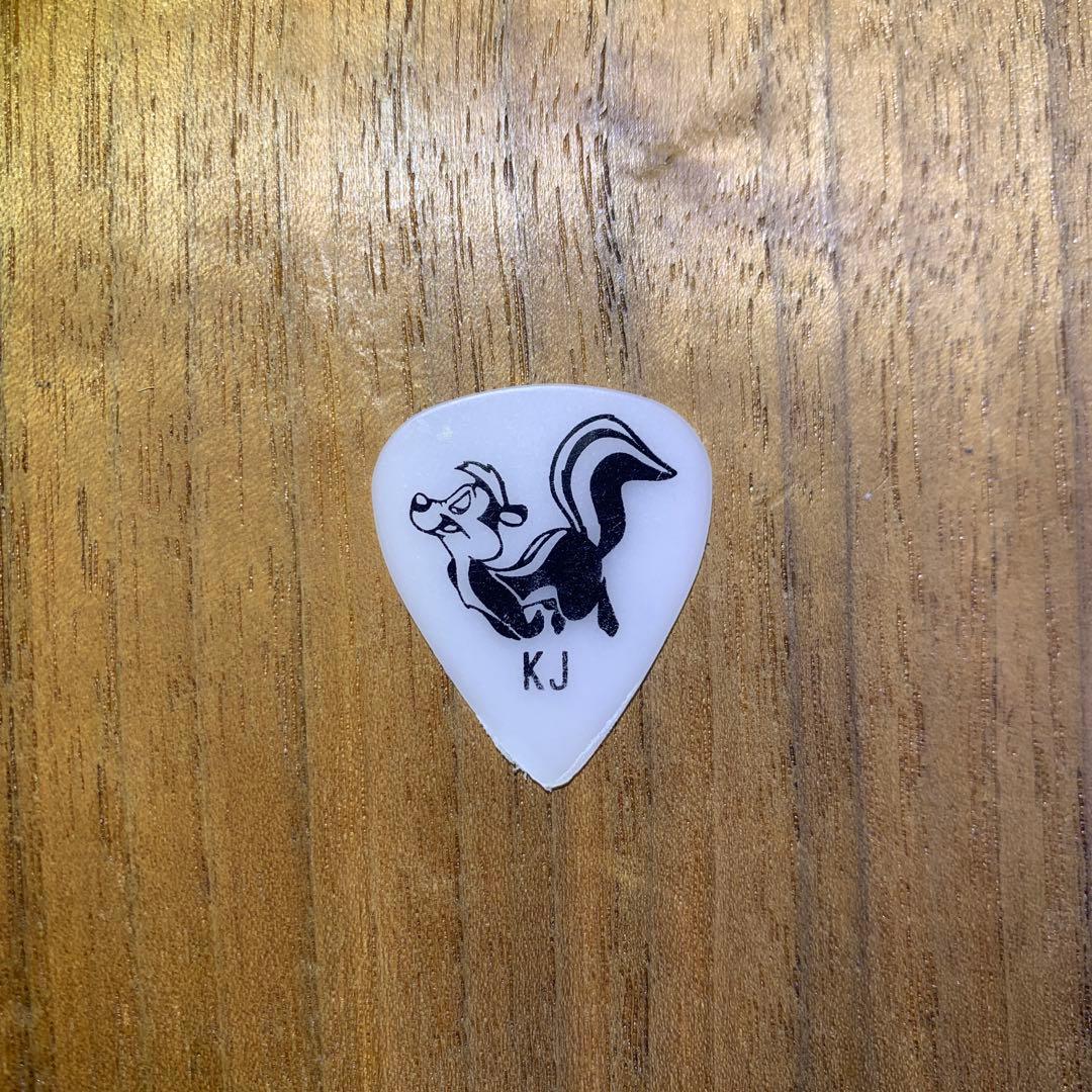 DragonAsh ドラゴンアッシュ　ピック