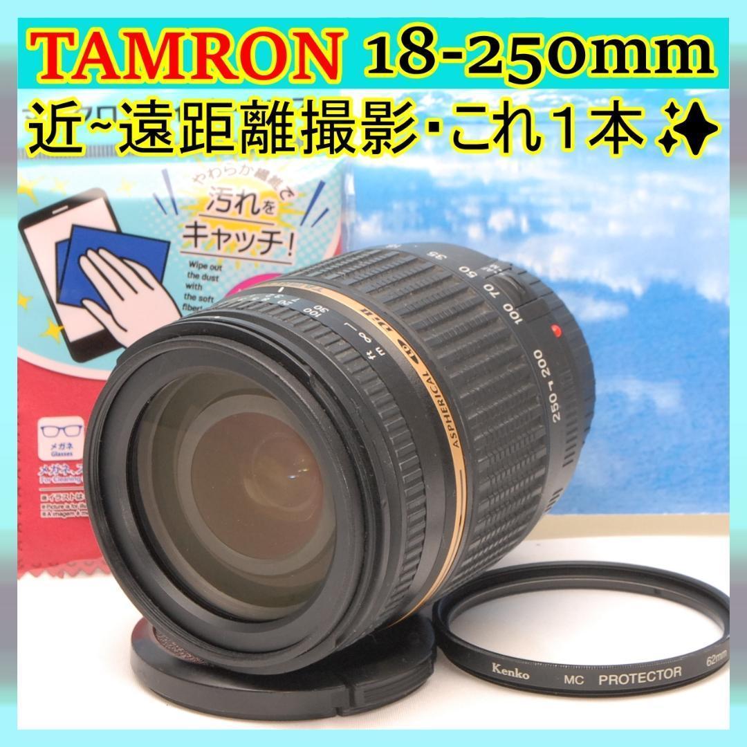 ✨中望遠レンズ✨TAMRON マクロ撮影 AF 18-250㎜ キヤノン用