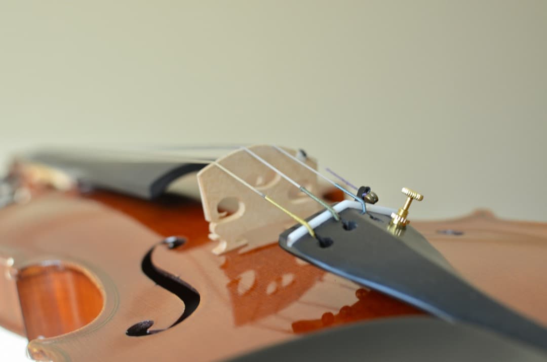 【銘器】R.Paesold No.804 バイオリン 4/4 1991年