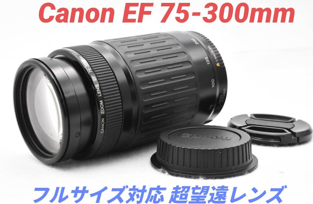 9月13日限定販売♪【超望遠レンズ】Canon EF 75-300mm