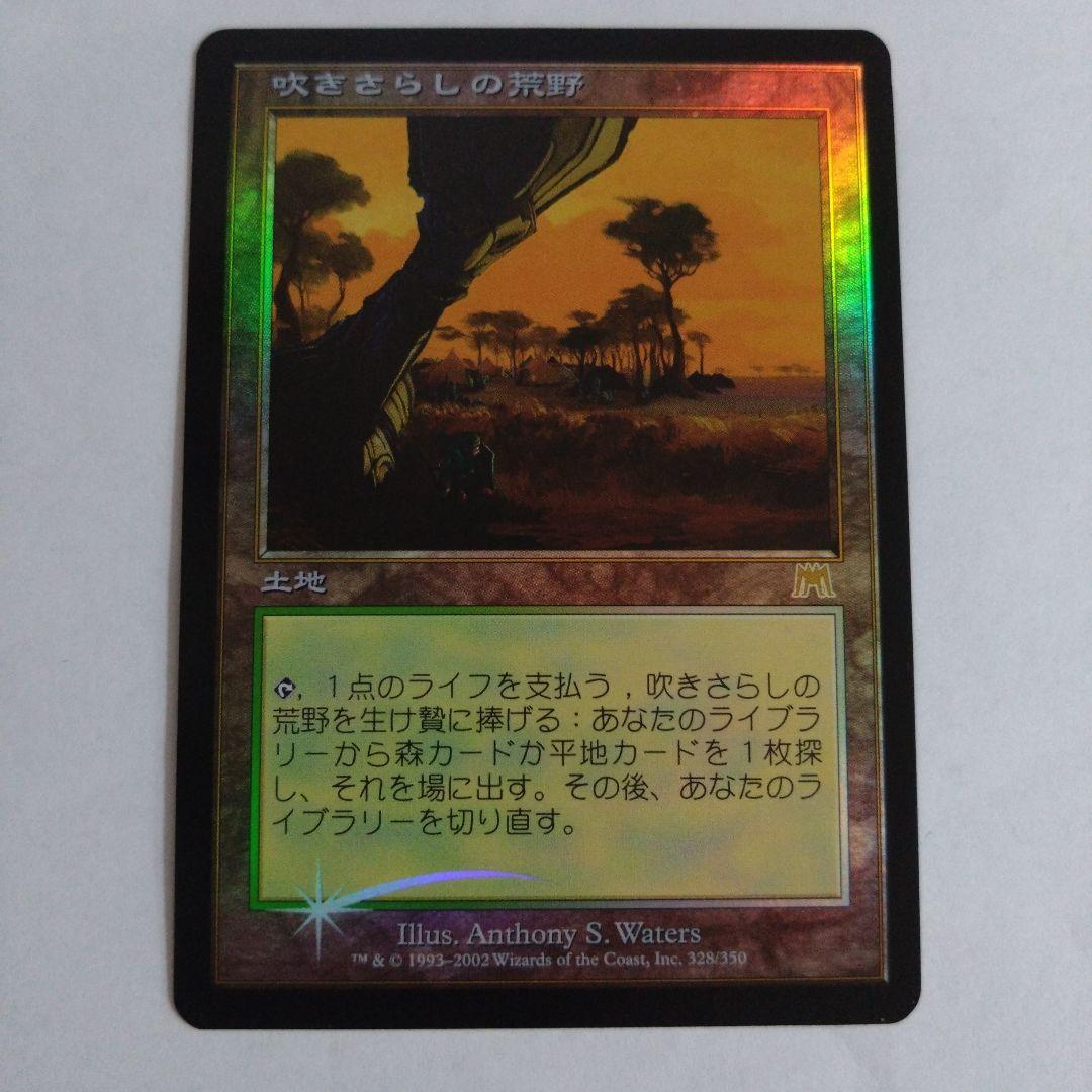 MTG 吹きさらしの荒野 foil