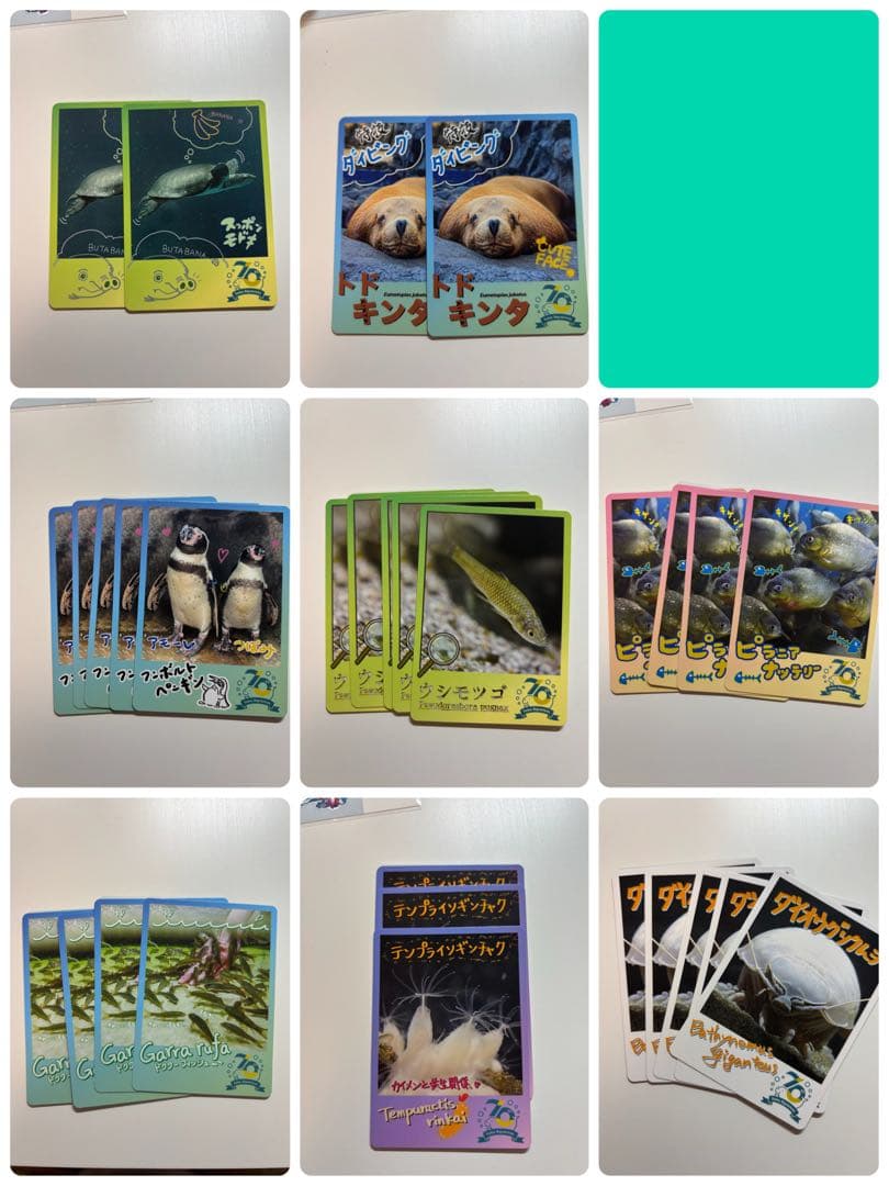 鳥羽水族館トレカ セット売り 一覧