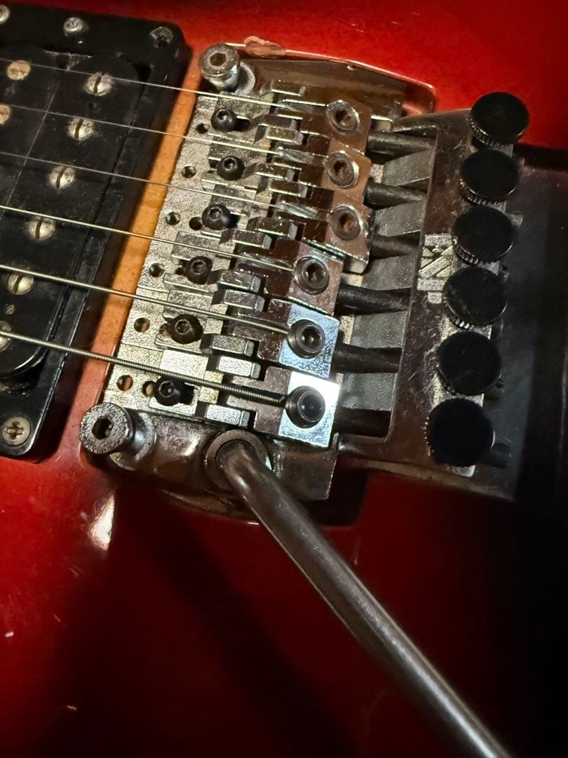 maxouwouhou1 仕様　ESP Random Star Lefty