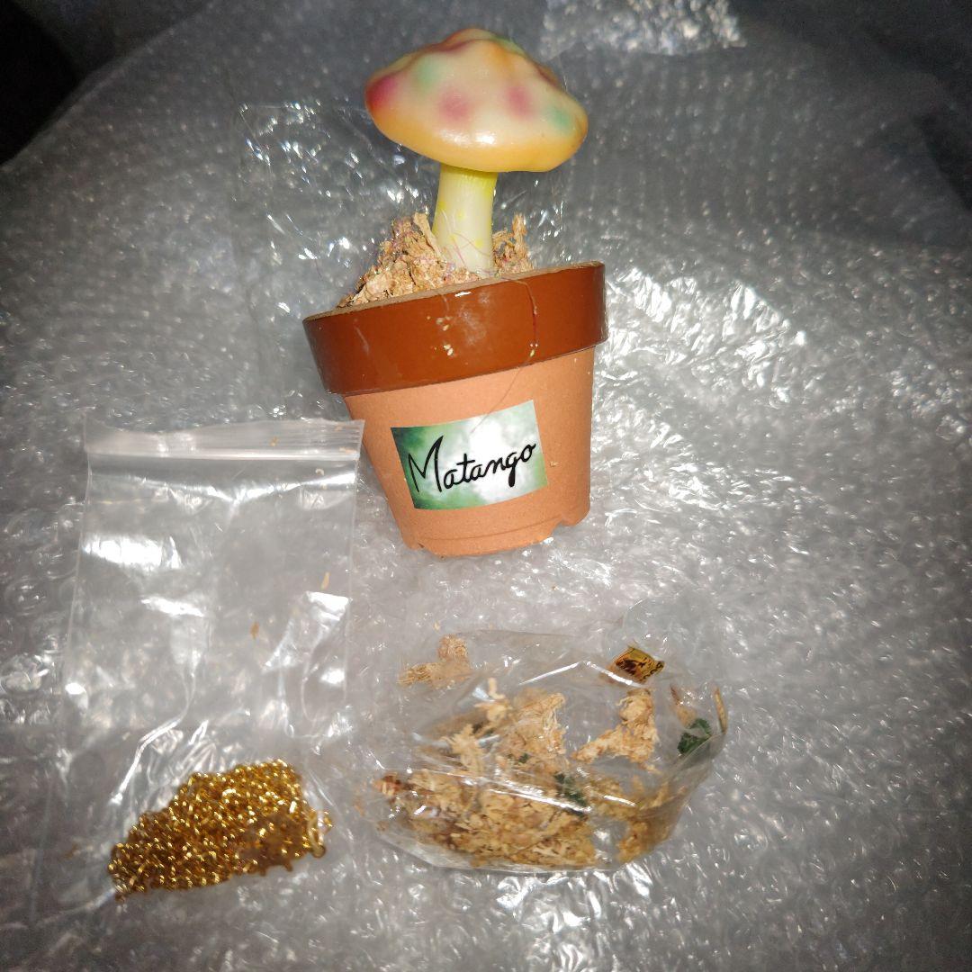 M1号　マタンゴ　植木鉢　ソフビ