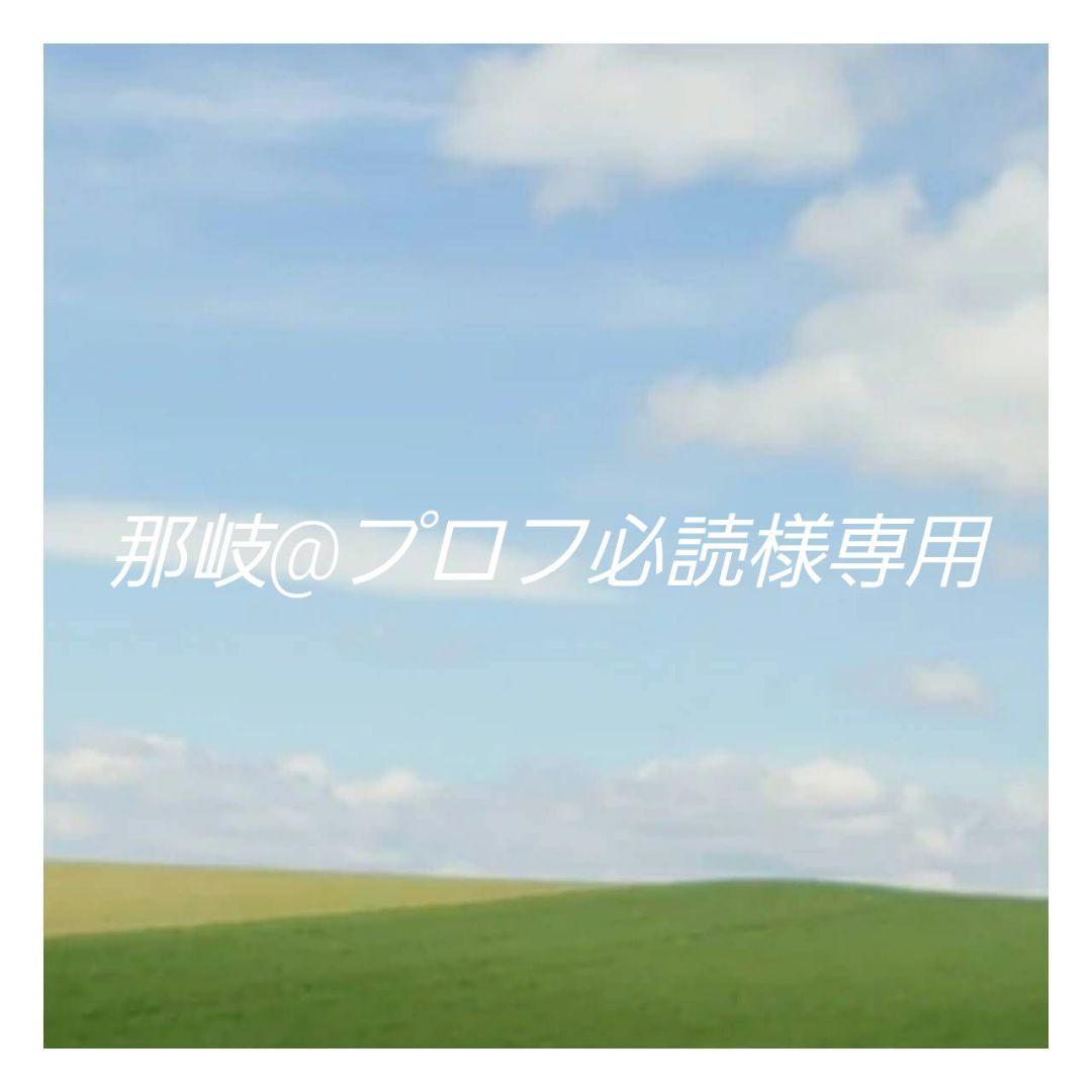 那岐@プロフ必読