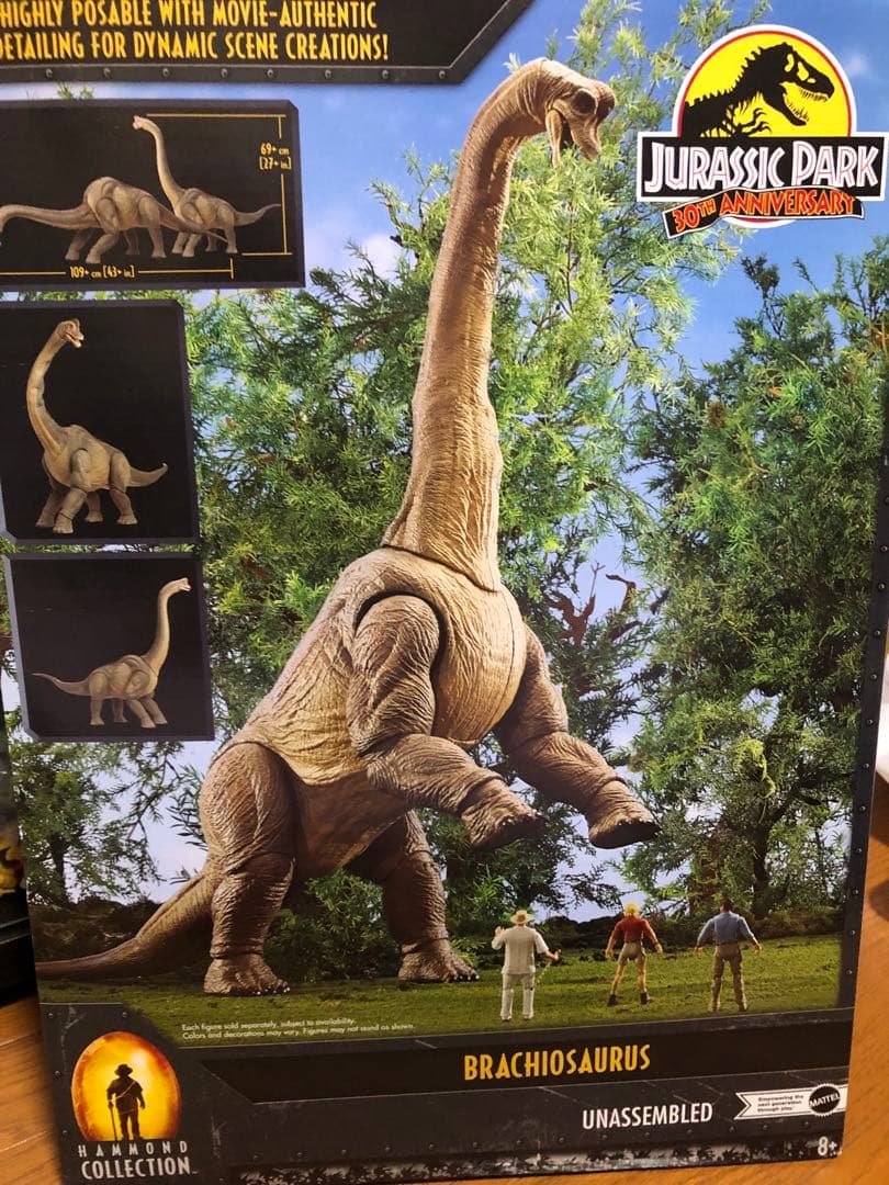 ハモンドコレクションブラキオサウルス