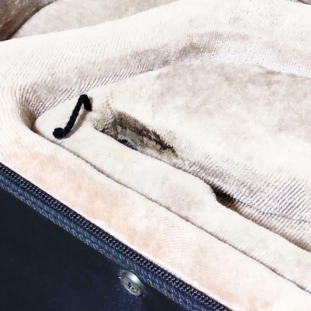 France製 F.E.L Orly アルトサックス セミハードケース