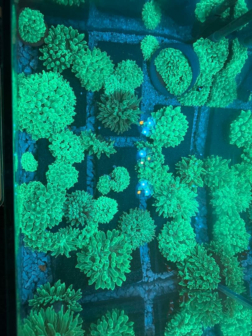 ジオラマ工房專用