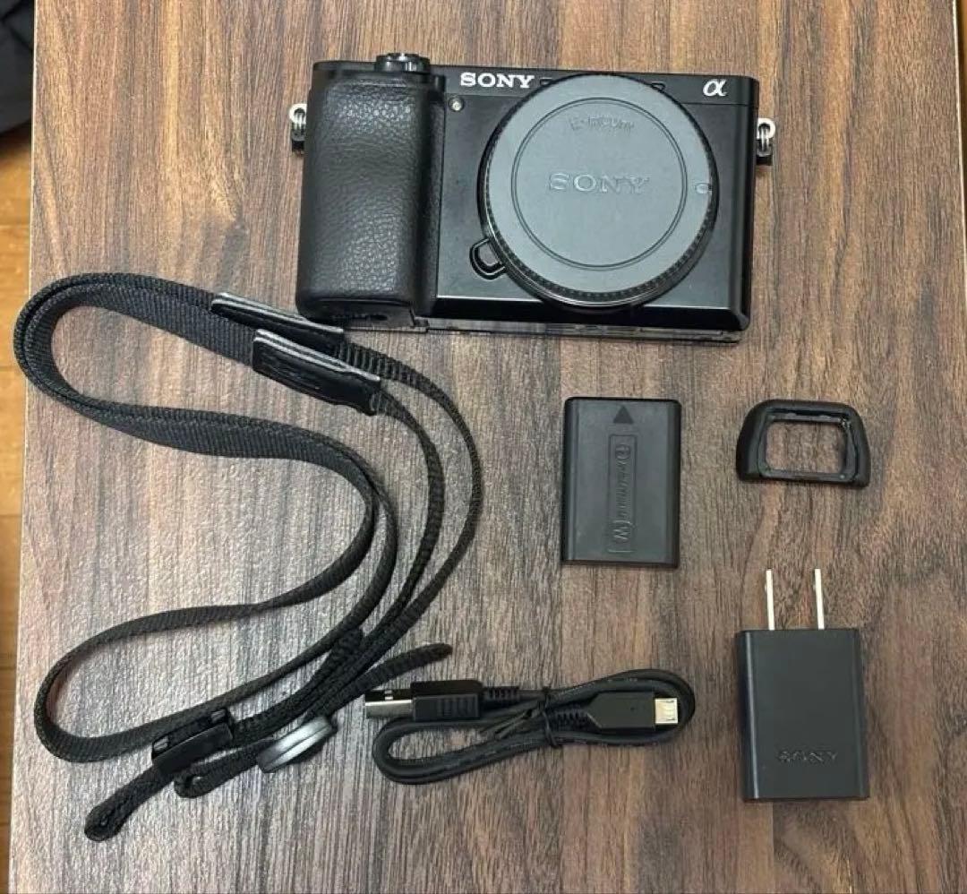 ソニー ミラーレス一眼カメラ α6100 +純正充電器・バッテリー