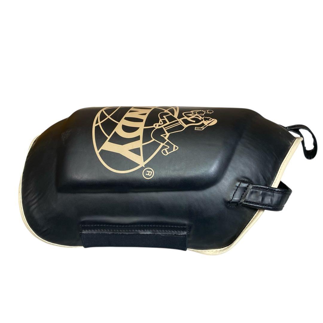 WINDYクラシック ローキックプロテクター(ふともも用)