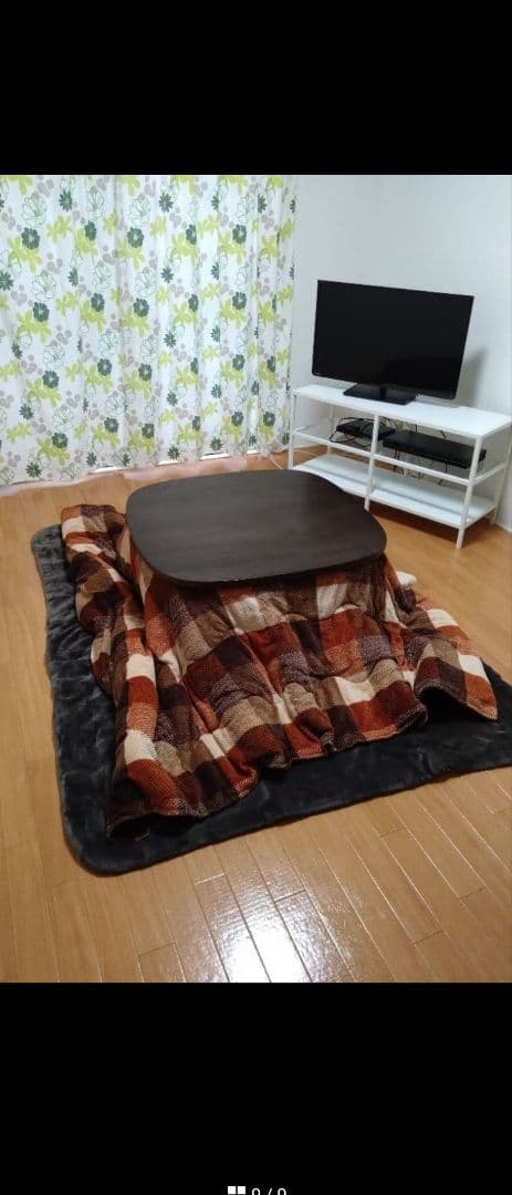 マナティ　こたつ